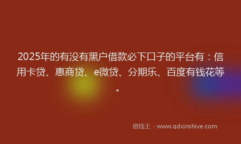 2025年的有没有黑户借款必下口子的平台有：信用卡贷、惠商贷、e微贷、分期乐、百度有钱花等。