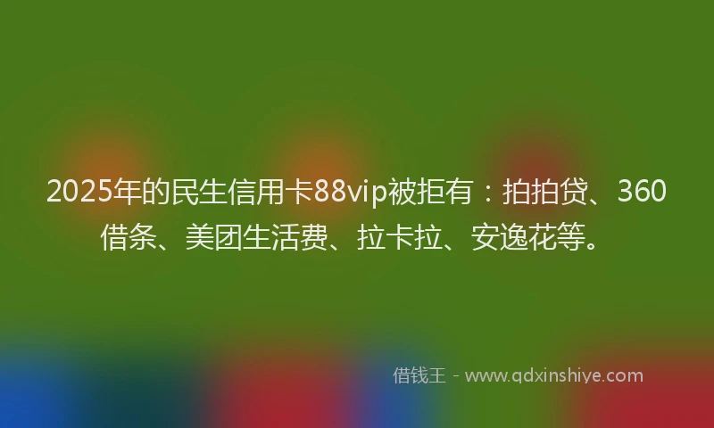 2025年的民生信用卡88vip被拒有：拍拍贷、360借条、美团生活费、拉卡拉、安逸花等。