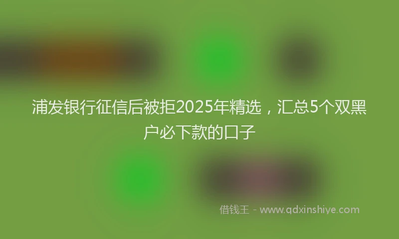 浦发银行征信后被拒2025年精选，汇总5个双黑户必下款的口子