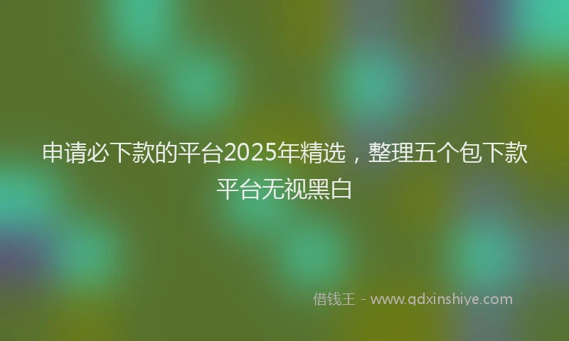 申请必下款的平台2025年精选，整理五个包下款平台无视黑白