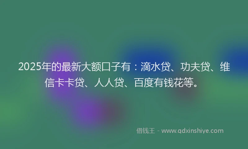 2025年的最新大额口子有：滴水贷、功夫贷、维信卡卡贷、人人贷、百度有钱花等。