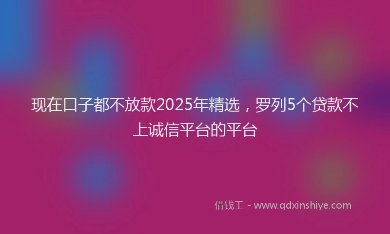 现在口子都不放款2025年精选，罗列5个贷款不上诚信平台的平台