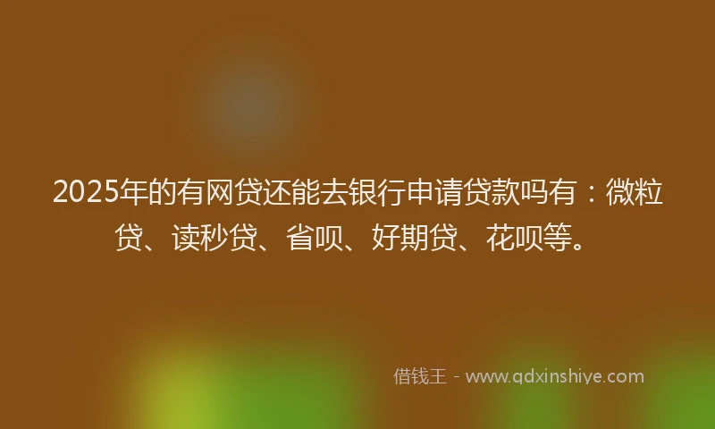 2025年的有网贷还能去银行申请贷款吗有：微粒贷、读秒贷、省呗、好期贷、花呗等。