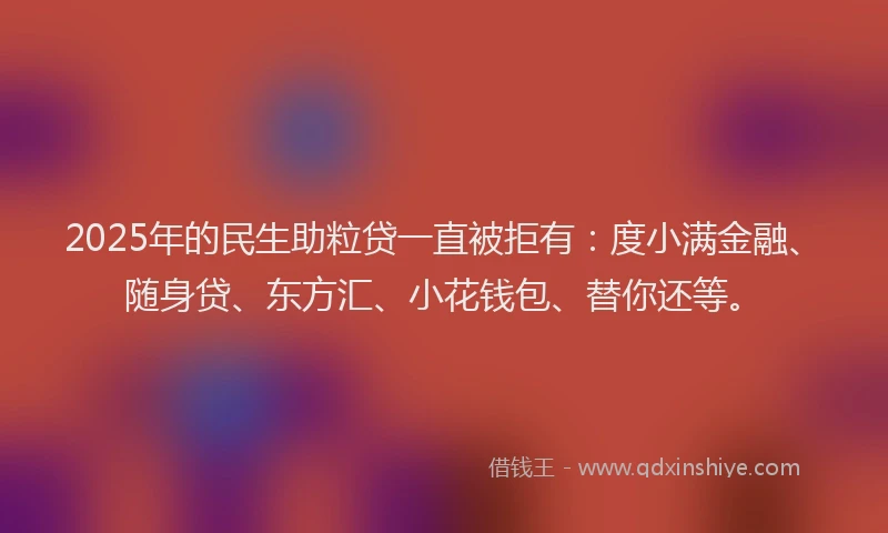 2025年的民生助粒贷一直被拒有：度小满金融、随身贷、东方汇、小花钱包、替你还等。