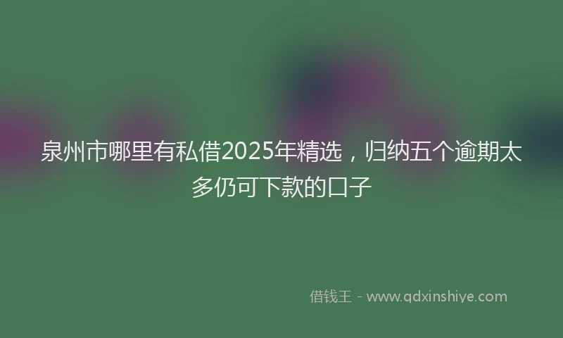 泉州市哪里有私借2025年精选，归纳五个逾期太多仍可下款的口子