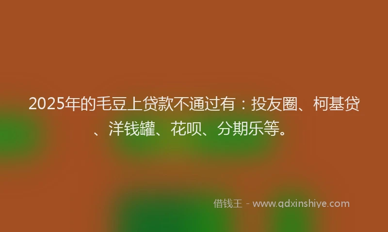 2025年的毛豆上贷款不通过有：投友圈、柯基贷、洋钱罐、花呗、分期乐等。