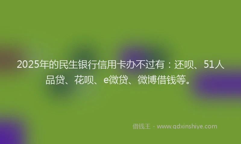 2025年的民生银行信用卡办不过有：还呗、51人品贷、花呗、e微贷、微博借钱等。