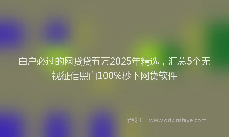 白户必过的网贷贷五万2025年精选，汇总5个无视征信黑白100%秒下网贷软件