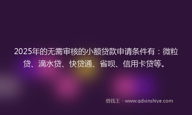 2025年的无需审核的小额贷款申请条件有：微粒贷、滴水贷、快贷通、省呗、信用卡贷等。