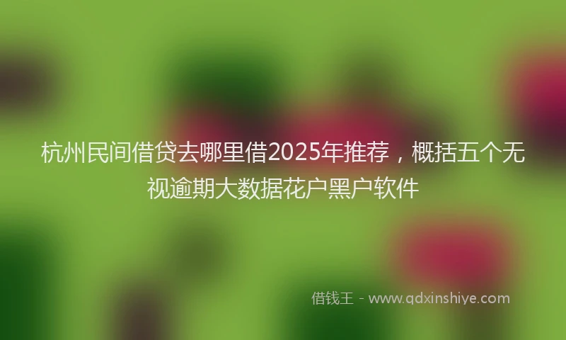 杭州民间借贷去哪里借2025年推荐，概括五个无视逾期大数据花户黑户软件