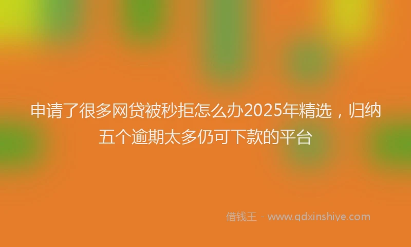 申请了很多网贷被秒拒怎么办2025年精选，归纳五个逾期太多仍可下款的平台