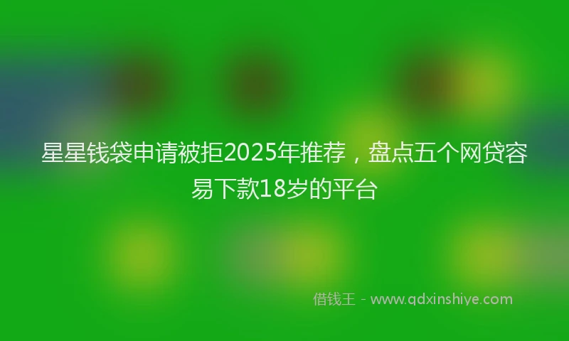 星星钱袋申请被拒2025年推荐，盘点五个网贷容易下款18岁的平台