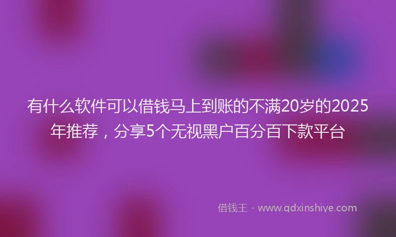 有什么软件可以借钱马上到账的不满20岁的2025年推荐，分享5个无视黑户百分百下款平台