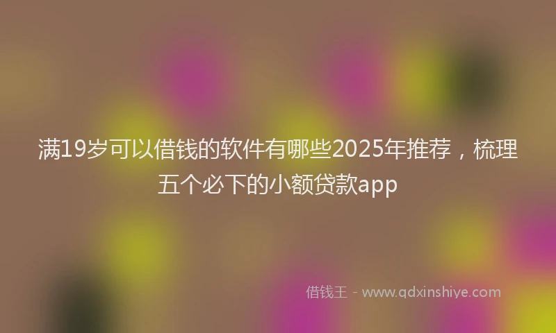 满19岁可以借钱的软件有哪些2025年推荐，梳理五个必下的小额贷款app