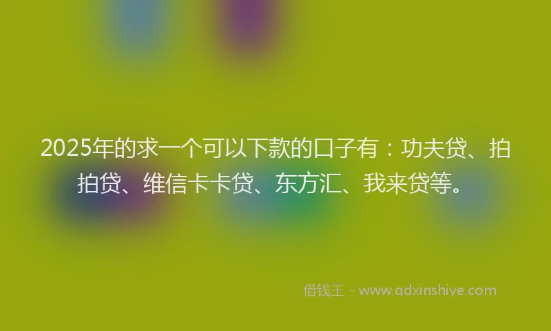 2025年的求一个可以下款的口子有：功夫贷、拍拍贷、维信卡卡贷、东方汇、我来贷等。