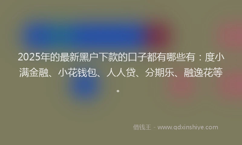 2025年的最新黑户下款的口子都有哪些有：度小满金融、小花钱包、人人贷、分期乐、融逸花等。