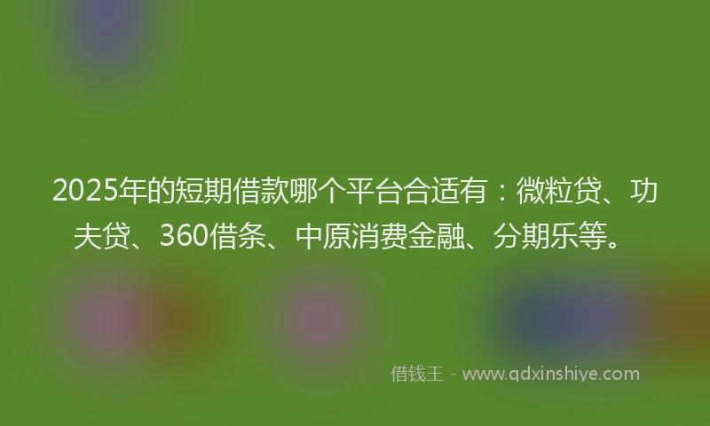 2025年的短期借款哪个平台合适有：微粒贷、功夫贷、360借条、中原消费金融、分期乐等。