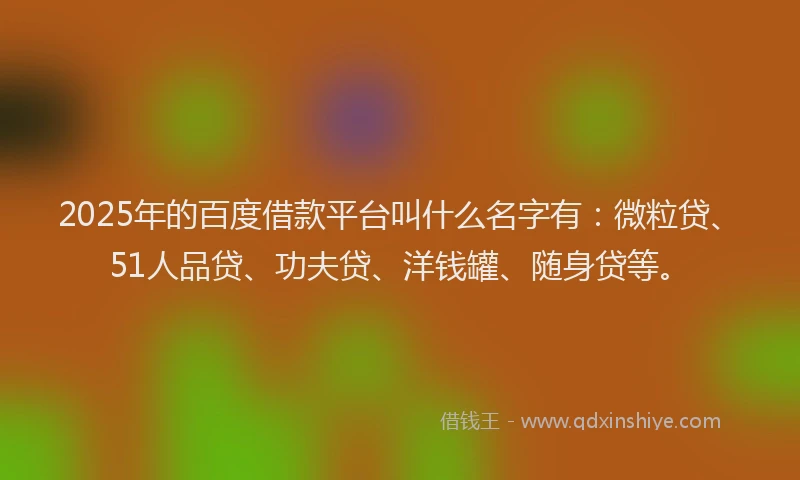 2025年的百度借款平台叫什么名字有：微粒贷、51人品贷、功夫贷、洋钱罐、随身贷等。