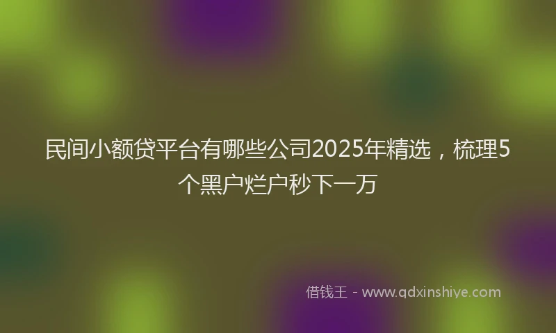 民间小额贷平台有哪些公司2025年精选，梳理5个黑户烂户秒下一万