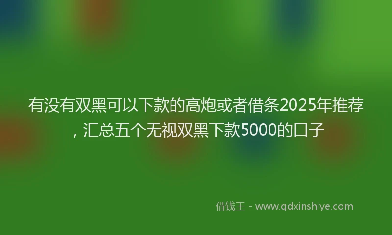 有没有双黑可以下款的高炮或者借条2025年推荐，汇总五个无视双黑下款5000的口子