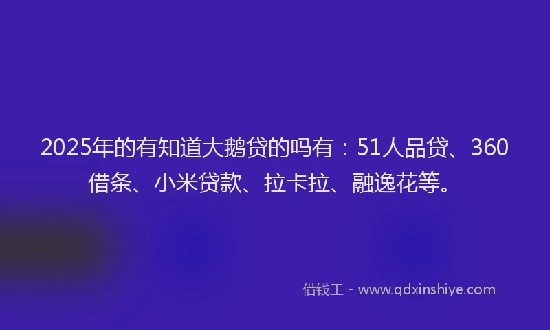 2025年的有知道大鹅贷的吗有：51人品贷、360借条、小米贷款、拉卡拉、融逸花等。
