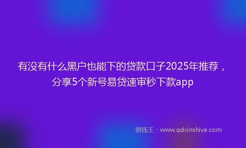 有没有什么黑户也能下的贷款口子2025年推荐，分享5个新号易贷速审秒下款app