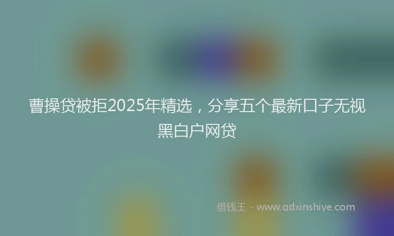 曹操贷被拒2025年精选，分享五个最新口子无视黑白户网贷