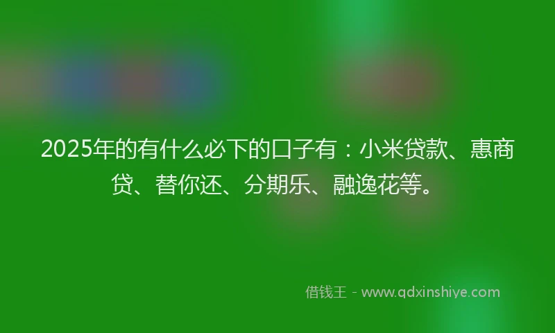 2025年的有什么必下的口子有：小米贷款、惠商贷、替你还、分期乐、融逸花等。