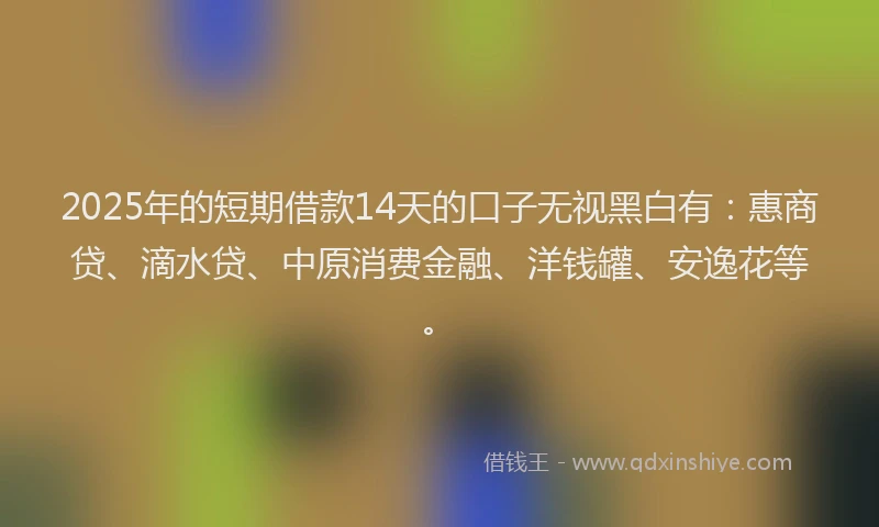 2025年的短期借款14天的口子无视黑白有：惠商贷、滴水贷、中原消费金融、洋钱罐、安逸花等。