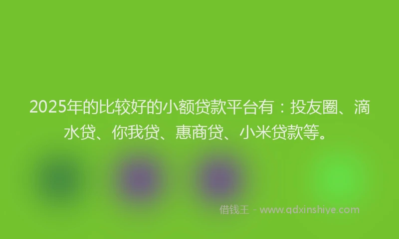 2025年的比较好的小额贷款平台有：投友圈、滴水贷、你我贷、惠商贷、小米贷款等。