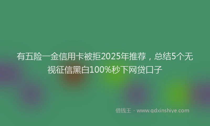 有五险一金信用卡被拒2025年推荐，总结5个无视征信黑白100%秒下网贷口子