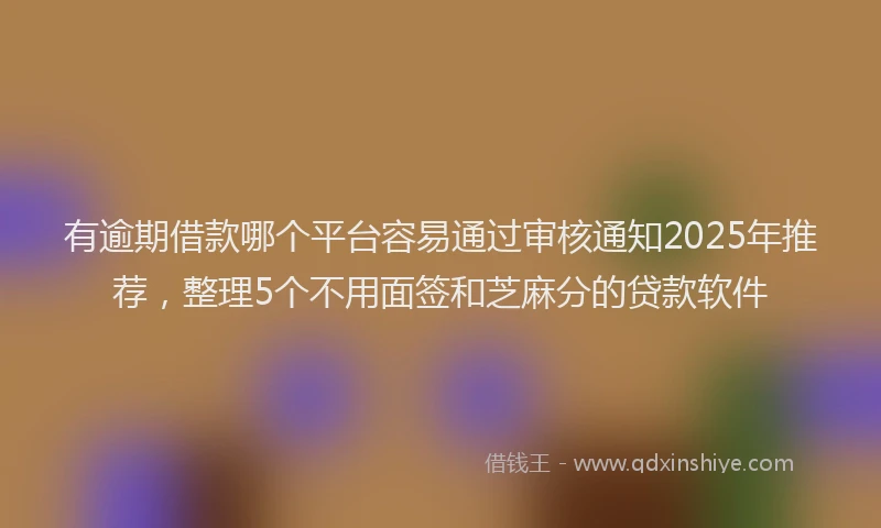 有逾期借款哪个平台容易通过审核通知2025年推荐，整理5个不用面签和芝麻分的贷款软件