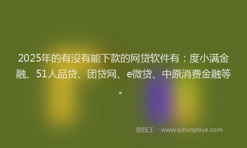 2025年的有没有能下款的网贷软件有：度小满金融、51人品贷、团贷网、e微贷、中原消费金融等。