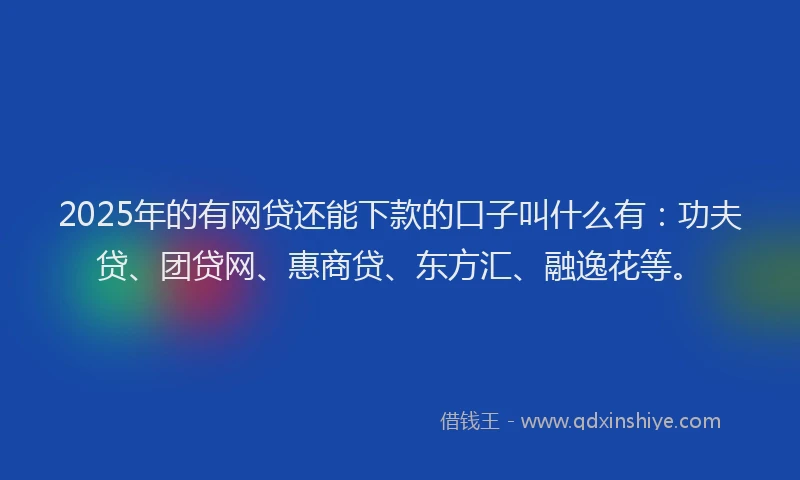 2025年的有网贷还能下款的口子叫什么有：功夫贷、团贷网、惠商贷、东方汇、融逸花等。