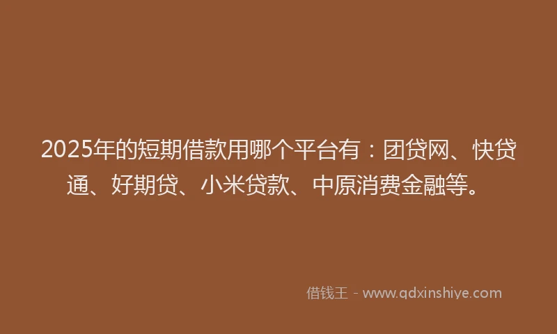 2025年的短期借款用哪个平台有：团贷网、快贷通、好期贷、小米贷款、中原消费金融等。