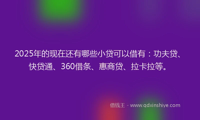 2025年的现在还有哪些小贷可以借有：功夫贷、快贷通、360借条、惠商贷、拉卡拉等。
