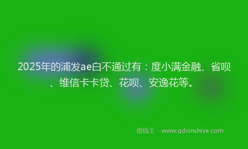 2025年的浦发ae白不通过有：度小满金融、省呗、维信卡卡贷、花呗、安逸花等。