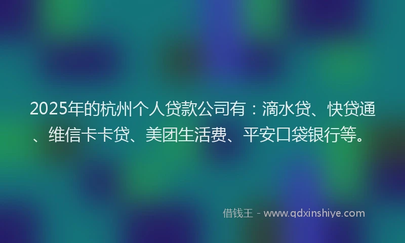 2025年的杭州个人贷款公司有：滴水贷、快贷通、维信卡卡贷、美团生活费、平安口袋银行等。