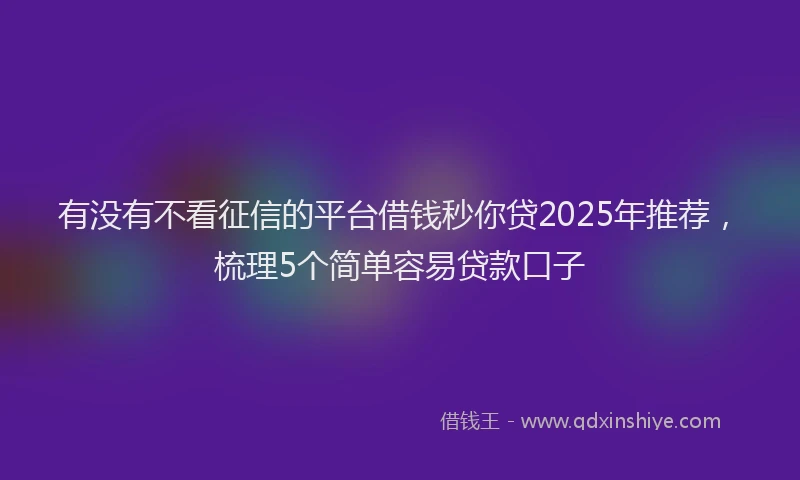 有没有不看征信的平台借钱秒你贷2025年推荐，梳理5个简单容易贷款口子