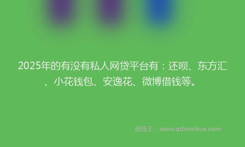2025年的有没有私人网贷平台有：还呗、东方汇、小花钱包、安逸花、微博借钱等。