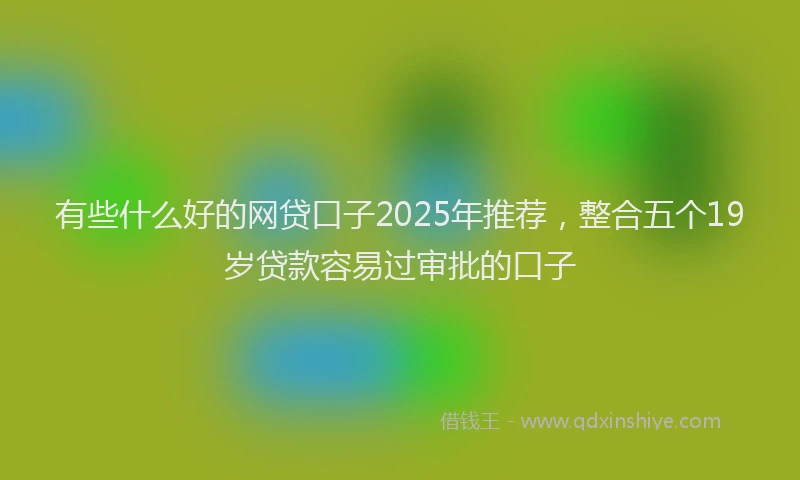 有些什么好的网贷口子2025年推荐，整合五个19岁贷款容易过审批的口子