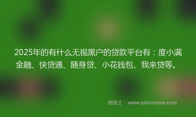 2025年的有什么无视黑户的贷款平台有：度小满金融、快贷通、随身贷、小花钱包、我来贷等。