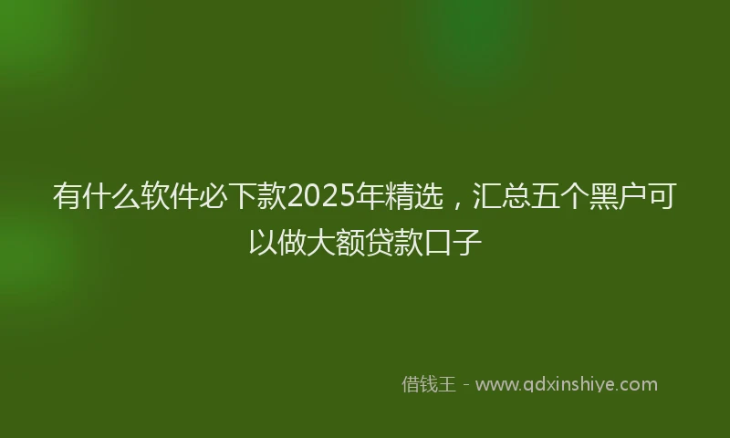 有什么软件必下款2025年精选，汇总五个黑户可以做大额贷款口子
