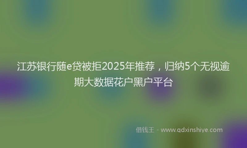 江苏银行随e贷被拒2025年推荐，归纳5个无视逾期大数据花户黑户平台
