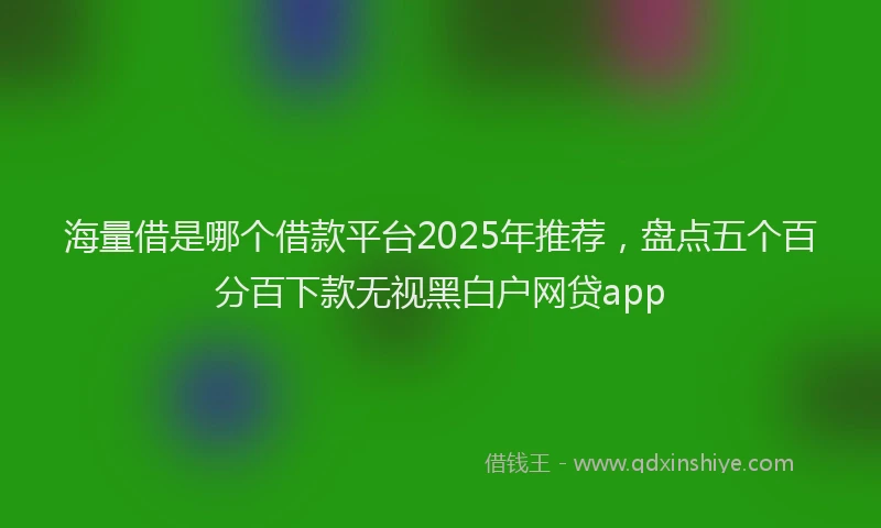 海量借是哪个借款平台2025年推荐，盘点五个百分百下款无视黑白户网贷app