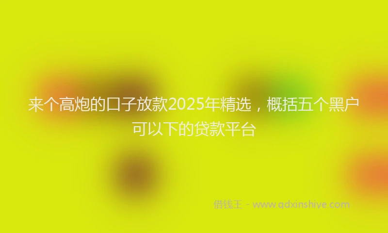 来个高炮的口子放款2025年精选，概括五个黑户可以下的贷款平台