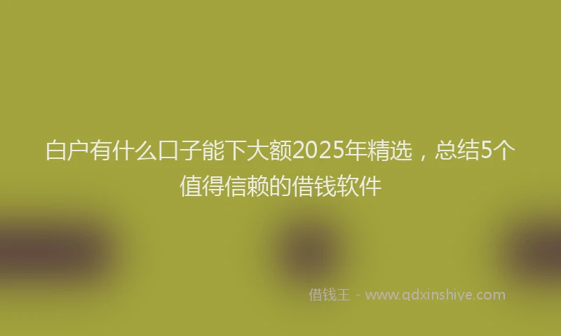 白户有什么口子能下大额2025年精选，总结5个值得信赖的借钱软件
