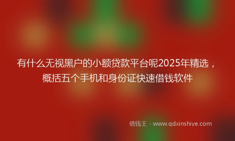 有什么无视黑户的小额贷款平台呢2025年精选，概括五个手机和身份证快速借钱软件