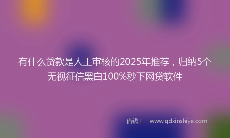 有什么贷款是人工审核的2025年推荐，归纳5个无视征信黑白100%秒下网贷软件