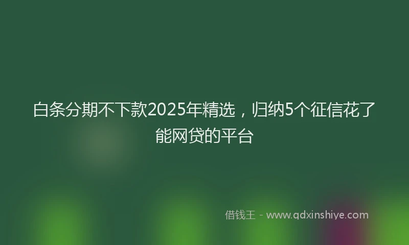 白条分期不下款2025年精选，归纳5个征信花了能网贷的平台